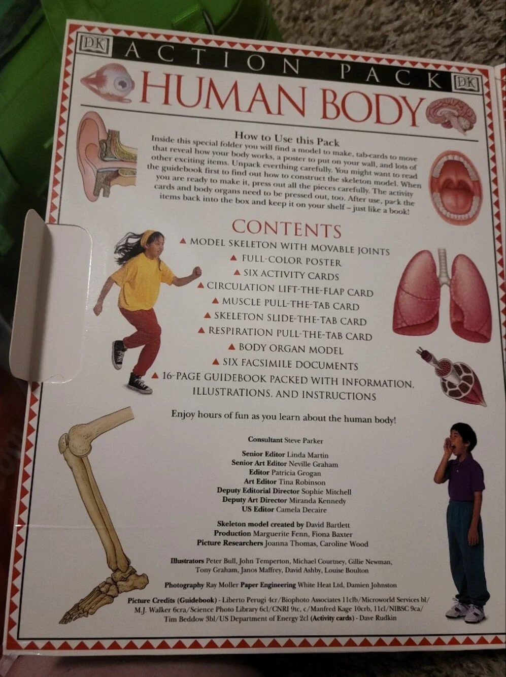 Human Body Activity Kit